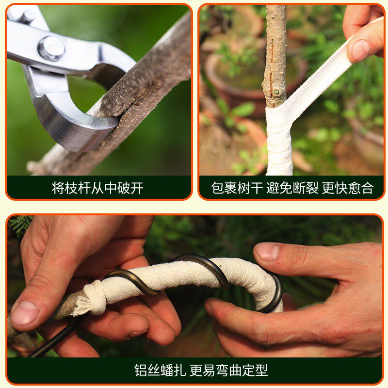 鼎木破杆钳开枝剪盆景工具盆景拿弯造型制作修剪工具剪破枝根切剪
