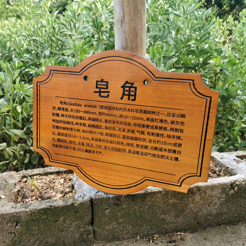 定制木牌美丽庭院木牌门牌指示牌创意个性木牌刻字实木挂牌木质牌