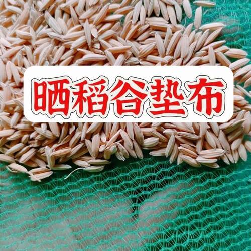 农村晒谷布谷子晒垫晒东西稻谷晒玉米垫子晒粮食神器网布凉晒稻谷
