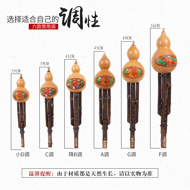 云南葫芦丝乐器专卖 C调降B调A/G/F/D调紫竹初学 学生包邮 送皮盒