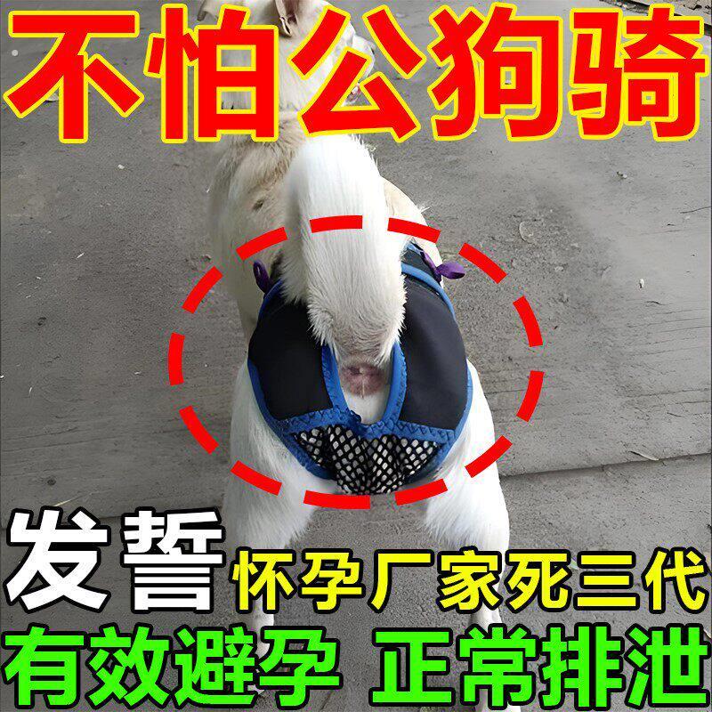 狗狗避孕裤可排泄裤防狗发情骚扰裤防交配裤生理裤母狗防交配神器