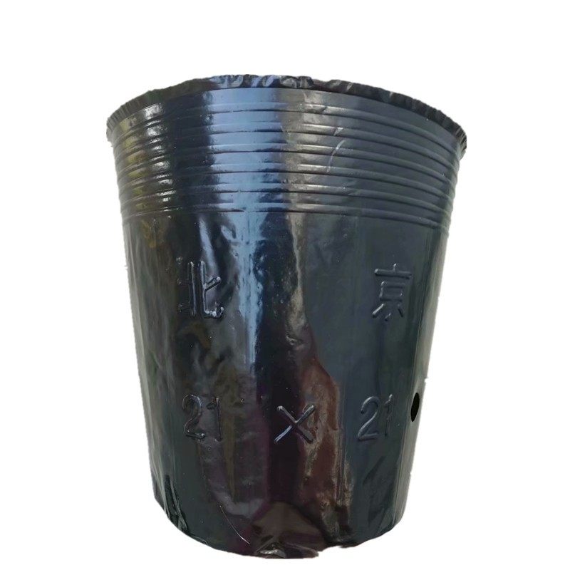 营养钵树苗种植营养袋育苗钵营养杯一次性黑色塑料软花盆简易加厚