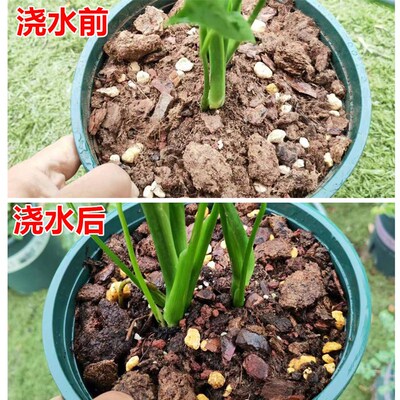 三角梅专用土三角梅土通用型营养土花泥室内绿植盆栽有机种植土肥