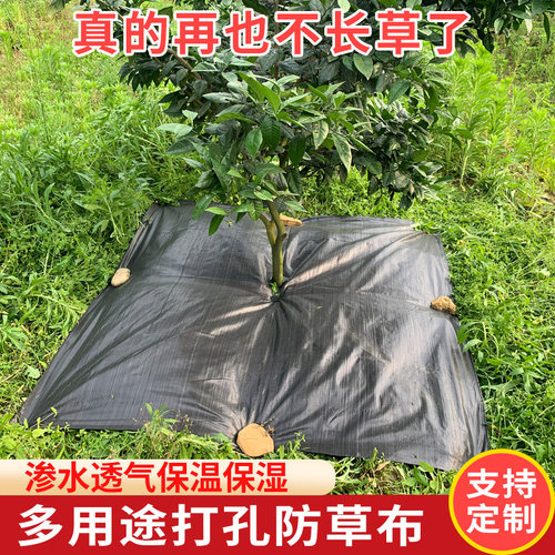 防草布除草布果园果树片装透气渗水保水保肥遮草布抗老化园艺地布