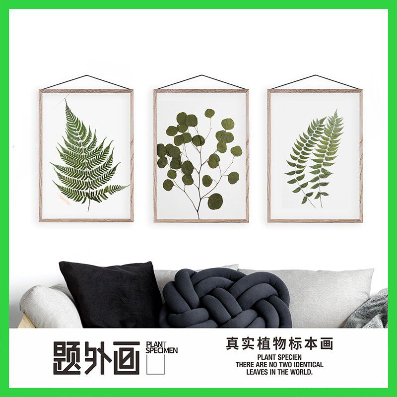 植物标本装饰画树叶桌面壁挂干花胡桃木手作摆件植物画框手工客厅