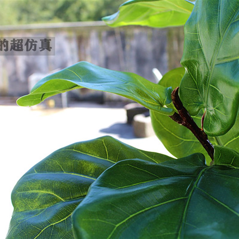 高端北欧简约风仿真绿植物琴叶榕橡皮树玉兰树阔叶类客厅落地装饰