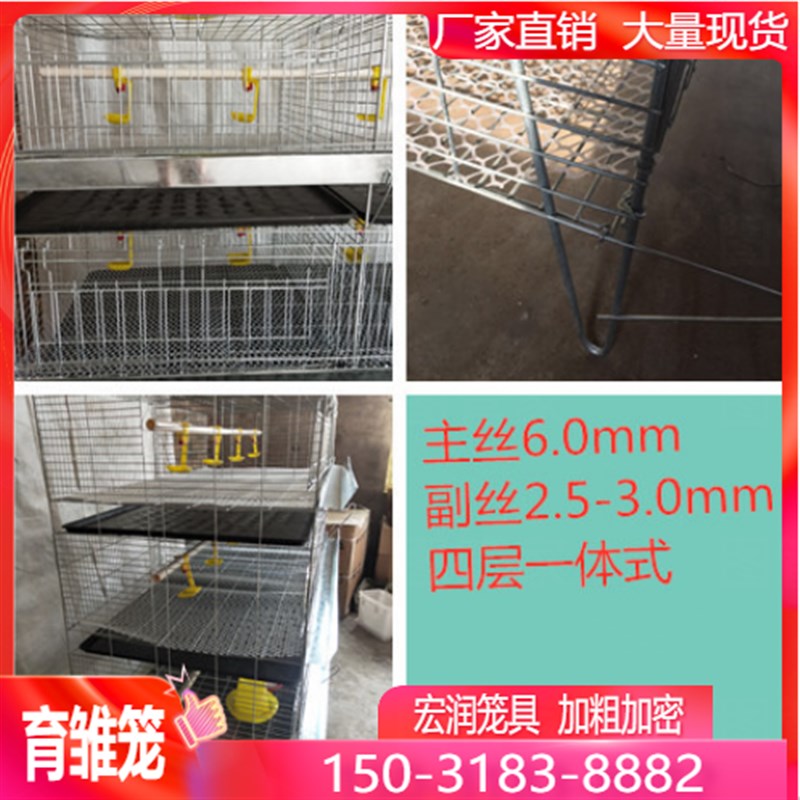 小鸡笼子育雏笼子多层新款养鸡笼家用脱温鸡笼养殖场专用育雏鸡笼