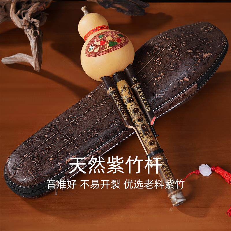 双音紫竹葫芦丝小学生乐器儿童专用款C调初学者降B调带教材收纳盒