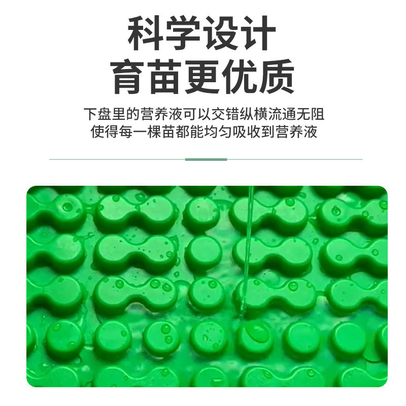 水培育苗盘芽苗菜种植蔬菜蔬果食品级PP材质优质果盘沥水盘