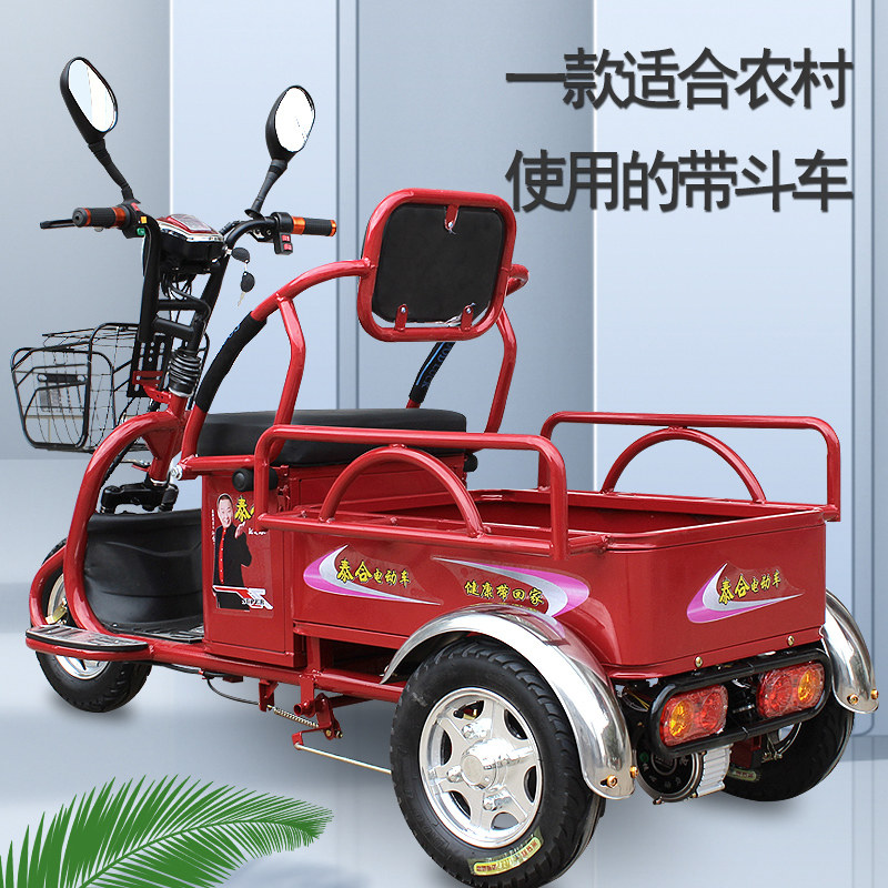电动三轮车接送孩子残疾人老年老人家用新款小型货车电瓶车三轮车
