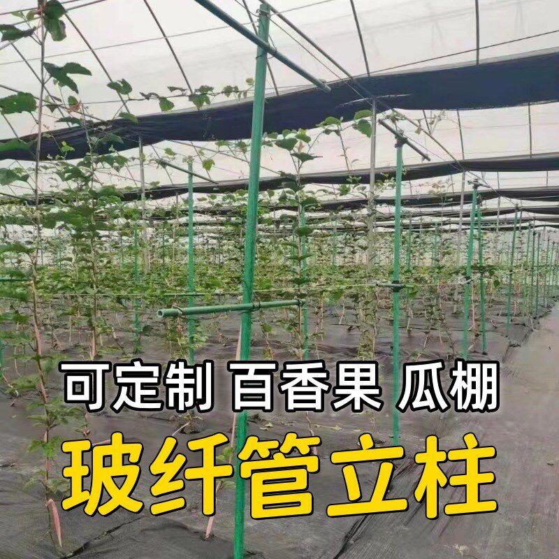 玻璃纤维管番茄百香果爬藤架南瓜架遮阳网支撑立杆生蚝养殖排立柱