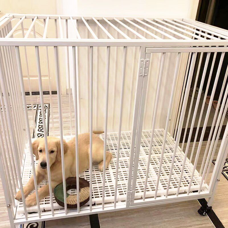 大型犬狗笼子中型拉布拉多金毛萨摩耶阿拉斯加边牧哈士奇围栏室内