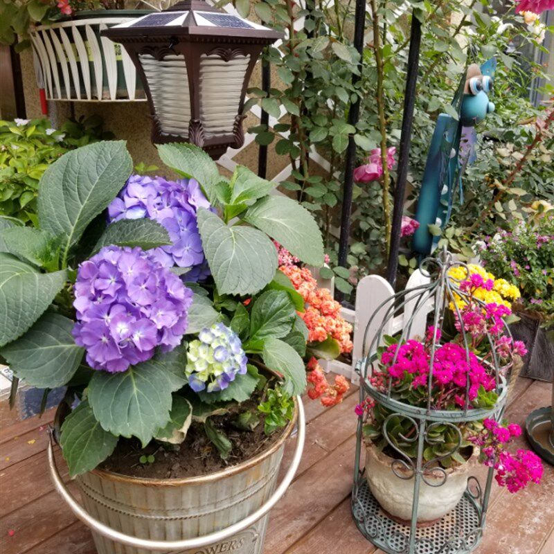 铁艺豆绿鸟笼开盖花托架 欧式垂吊悬挂花盆架 复古做旧