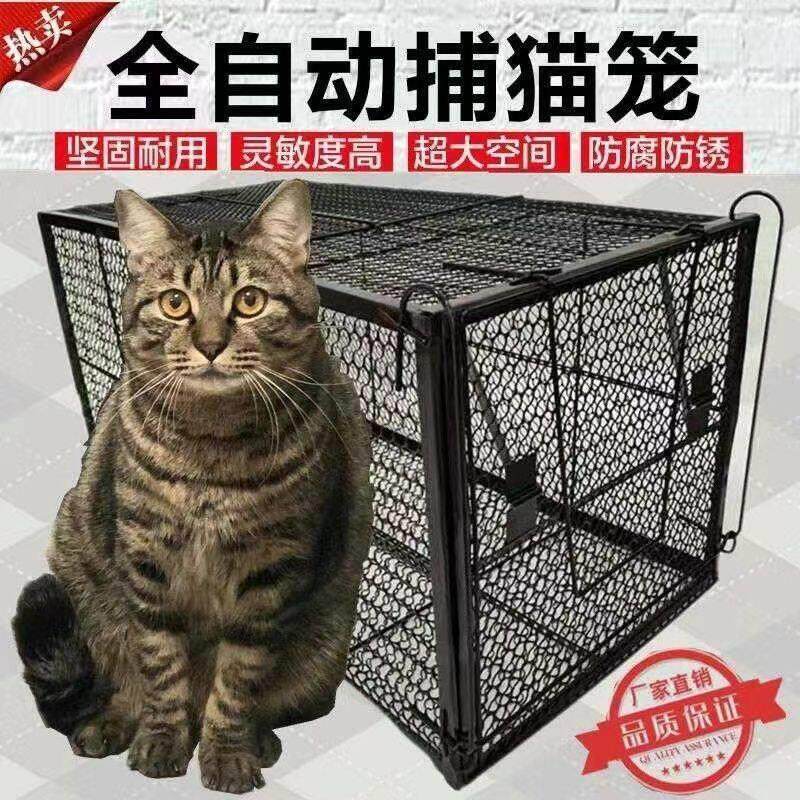 关老鼠的笼子全自动猫笼新款地鼠笼子人道救助家用野猫捉猫神器