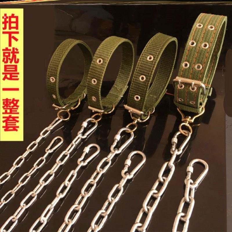 304不锈钢狗链子大型犬中型犬小型犬铁链项圈狗绳防咬家用牵引带