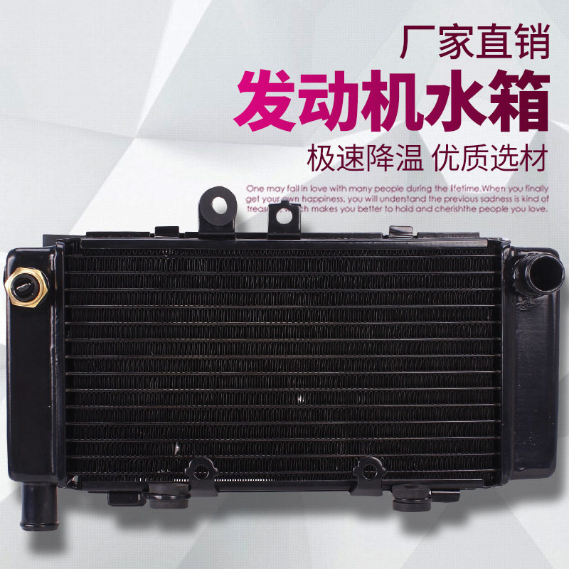 摩托车适用本田 小黄蜂250 水箱总成 发动机散热器 水冷散热器