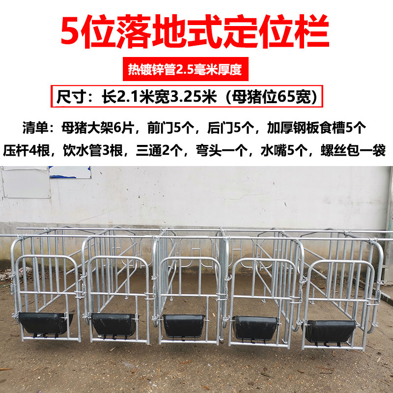 母猪定位栏猪用限位栏10猪位加厚带食槽国标2.5厚养猪设备器械