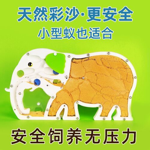 大象观察蚂蚁城堡窝盒子屋宠物工坊生态箱沙巢别墅家园繁殖版活体