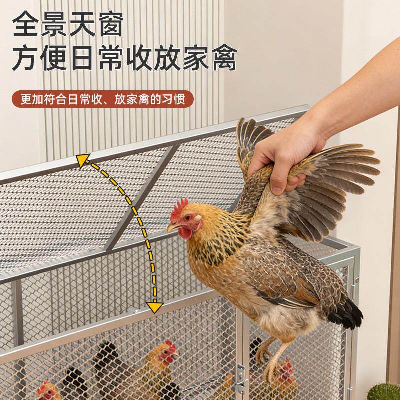 鸡笼子家用室外大号鸡笼鸽笼鸡舍加密网片笼防黄鼠狼自动出蛋鸡笼