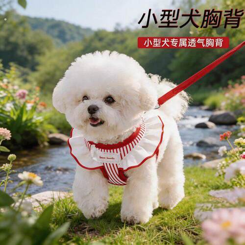 小狗狗牵引绳背心式小型犬遛狗绳幼犬胸背宠物狗背带外出牵狗绳