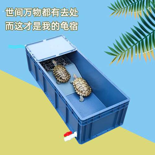 乌龟缸大型专用缸家用饲养缸养龟箱塑料大乌龟池龟盆带网格产蛋池