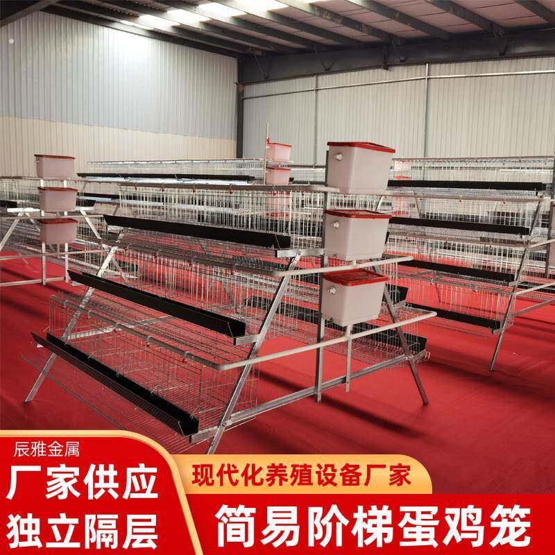 家用大棚鸡舍养鸡养殖阶梯蛋层叠式鸡笼自带水箱食槽养殖设备鸡笼