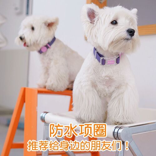 BORORO多巴胺宠物项圈硅胶脖圈小狗颈圈防水柴犬泰迪宠物用品