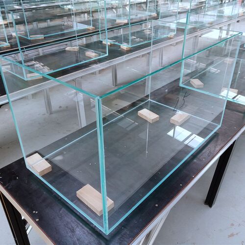 金晶 超白鱼缸定做 桌面超白玻璃 草缸 海水缸 全国包邮厂家直销
