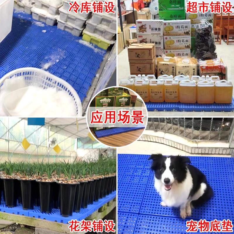塑料防潮板冷冻库垫板仓库防潮垫超市地台板货物垫仓板卡板托盘厚