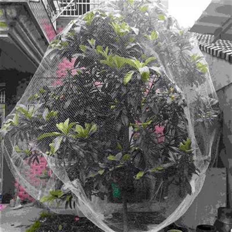 嘉宝果树网果树防鸟用网嘉宝果网罩果园防鸟用网盖树网水果树网罩图片
