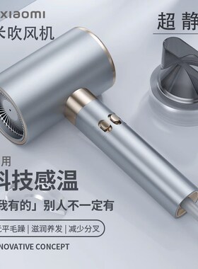 2025新款静音电吹风机家用负离子护发大功率发廊理发店冷热吹风筒