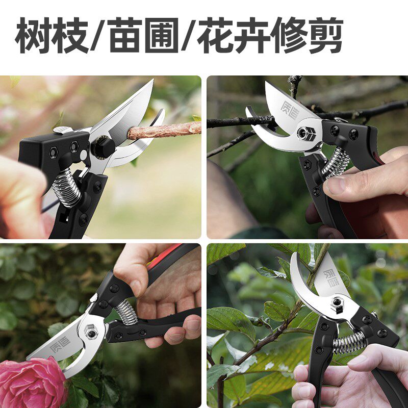 园林剪刀修枝剪修花剪园艺剪树枝剪粗枝果树盆景强力花艺打理工具