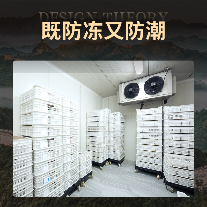 船用led投光灯渔船照明灯防水防潮冷库灯专用三防灯船上探照射灯