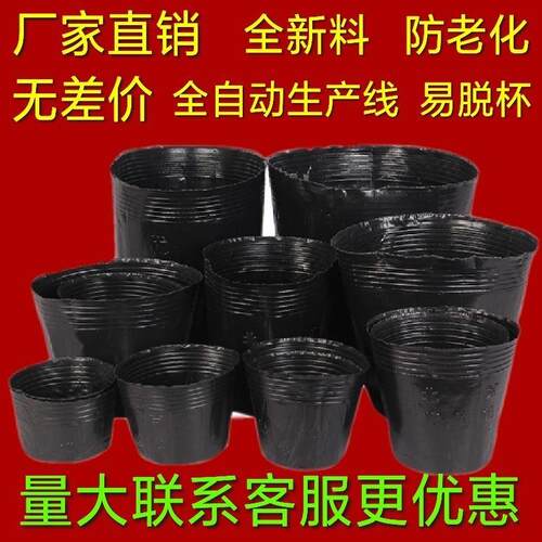 黑色一次性塑料营养钵营养袋加厚营养杯育苗杯防老化育苗袋小黑碗