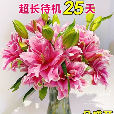 香水百合花鲜花云南基地直发家用鲜切插花束重瓣红多头顺丰次日达