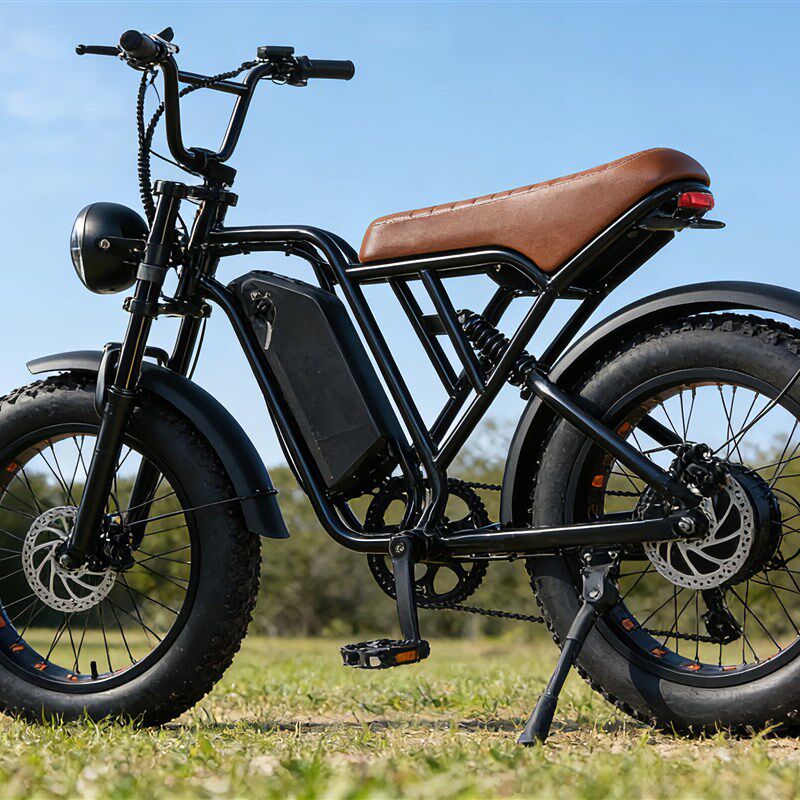 ebike电动自行车4.0轮胎欧洲20寸胖胎沙滩雪地越野锂电助力车