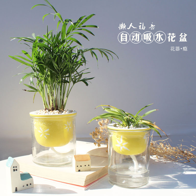 自动吸水懒人花盆陶瓷玻璃花盆水培多肉花盆植物花卉发财树花盆
