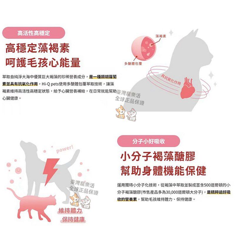 正品台版台湾藻心沛宠物猫狗辅酶Q10褐藻糖胶心肌肥大心脏保健