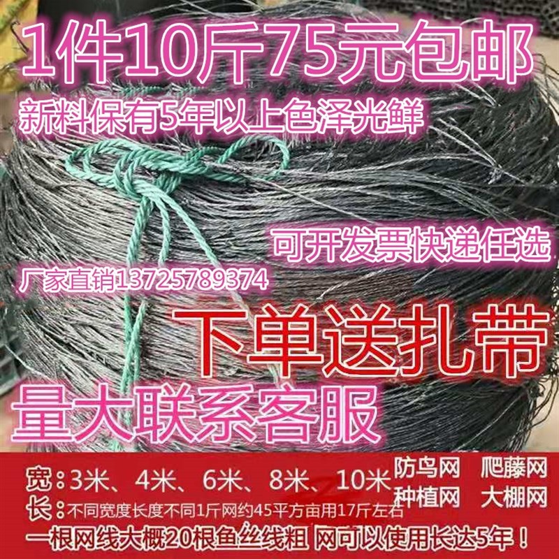 百香果搭架专用网种植网 黄瓜果爬藤植物果蔬爬藤网 1件10斤包邮