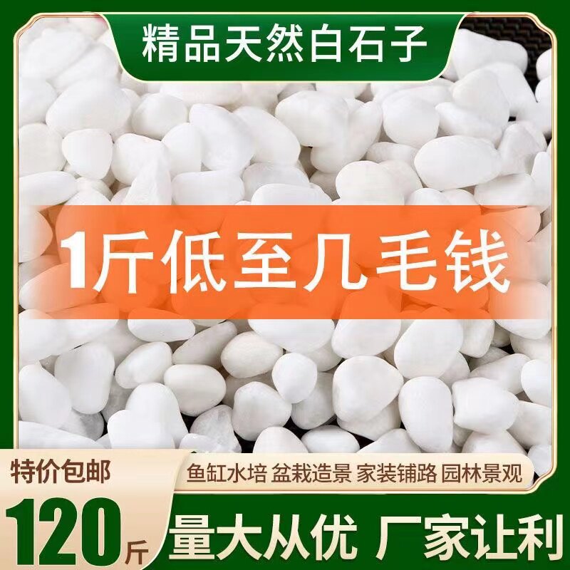 白石子烟灰缸灭烟石白色鹅卵石铺地阳台装饰景观园林天然小白石头