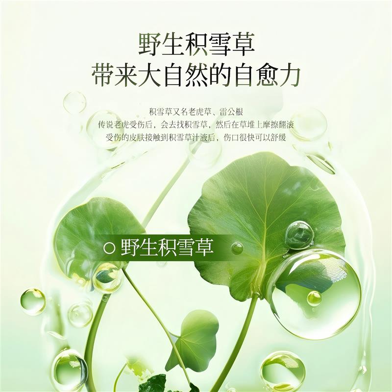 野生积雪草纯露肌底原液爽肤补水湿敷精华舒润缓保湿强韧喷雾正品