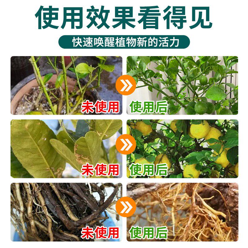 柠檬树肥料专用肥免稀释营养液生根家盆景栽喜酸性绿植通用型肥料