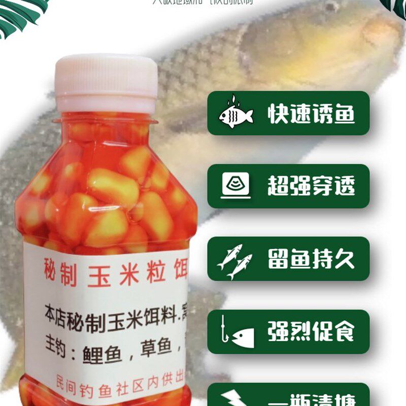 秘制钓鱼嫩玉米粒鱼饵颗粒饵料专攻黑坑野钓鲤鱼草鱼青鱼饵料窝料
