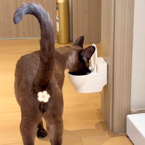 马桶猫碗骗猫喝水神器创意不锈钢猫食盆壁挂猫水碗保护颈椎防打翻