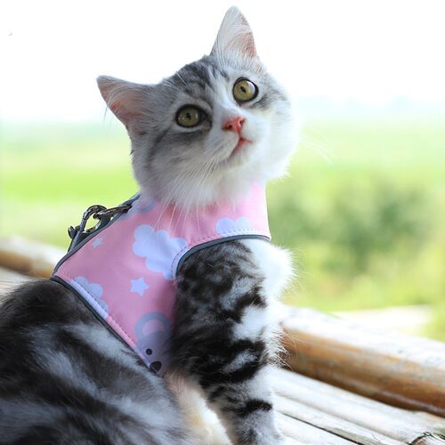 一起度假猫咪牵引绳狗狗牵引绳遛猫绳猫咪专用防挣脱猫绳子猫牵引