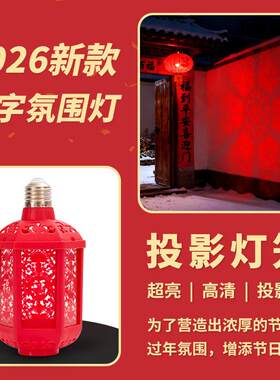 春节齐福彩灯大号新年喜庆七彩发财福字灯旋转投影过年红灯笼灯泡