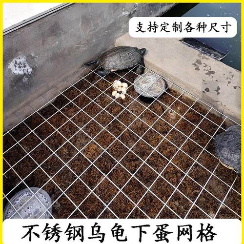 乌龟产蛋池下蛋网格防逃网晒台生蛋盆繁殖盒草龟铁格子板房栖息休