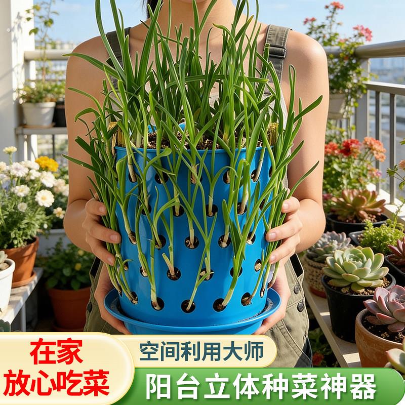 阳台种菜盆香菜韭菜塑料筐种葱种蒜蔬菜专用神器镂空篓家用种植盆