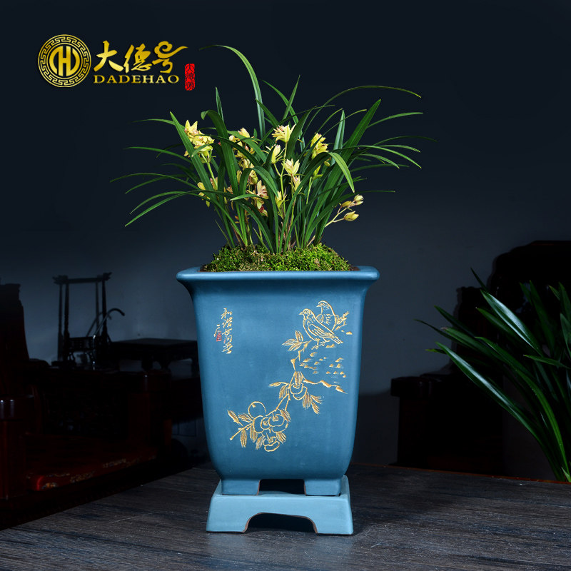 紫砂四方兰花花盆君子蝴蝶兰蓝草透气托盘大号创意个性陶瓷专用盆