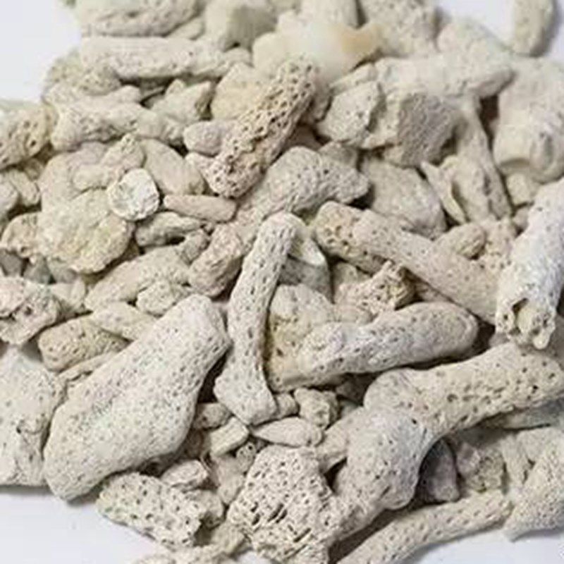 鱼缸过滤材料水族箱细菌屋珊瑚砂造景装饰天然石珊瑚骨净水稳定PH